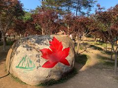 -广州市帽峰山景区