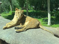 -北京野生动物园