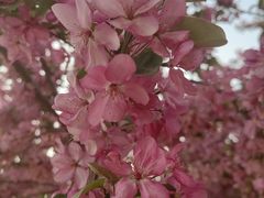 -北京园博大酒店