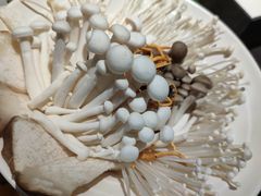 -东来顺铜锅炭火涮肉(上地华联店)