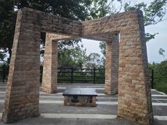 -风云岭森林公园