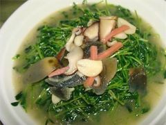 豆苗煲-暨南大学（石牌校区）明湖楼