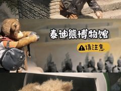 -成都泰迪熊博物馆
