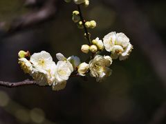 -静安雕塑公园