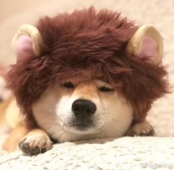-雅仕 HAIR SALON 美发沙龙