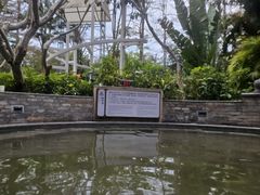 -碧水湾温泉
