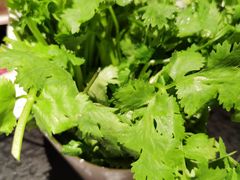 -铜来聚老北京涮肉(恒隆广场店)