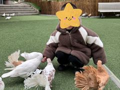 -成都欢乐谷