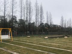 -前小桔亲子创意农场·草莓采摘·露营烧烤