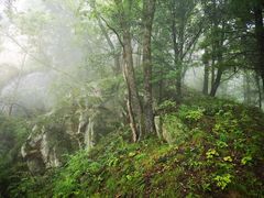 -陕西省红河谷森林公园