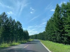 -塞罕坝国家级自然保护区