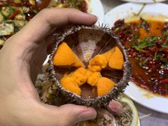 -小海丁