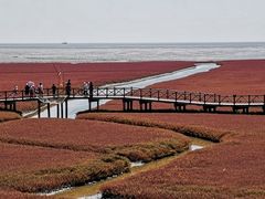 -红海滩国家风景廊道
