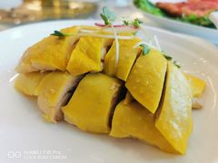 白切鸡-骏莱海鲜鱼港(五角场店)