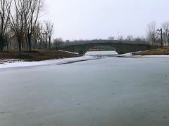 -东郊湿地公园