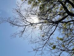 -尚湖风景区