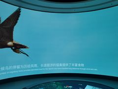 -大连市规划展示中心