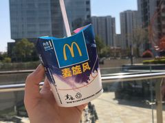 -麦当劳(塔园路店)