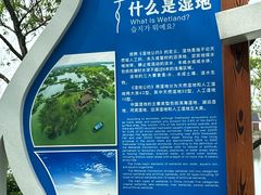 -长兴太湖图影湿地文化园