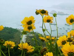 -东极岛景区