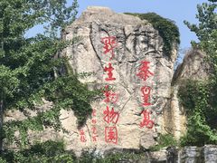 -秦皇岛野生动物园