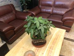 -潮福城大酒楼·潮粤菜·港式点心(阳光城店)