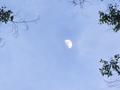 -火炉山森林公园