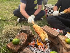 -前小桔亲子创意农场·草莓采摘·露营烧烤