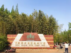 -日照海滨国家森林公园