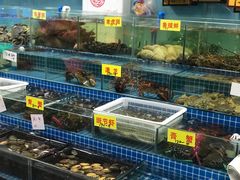 水产区-陇南批发市场