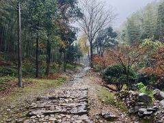 -仙霞关景区