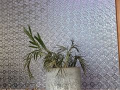 -桃园眷村(万象天地店)