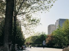 -海棠花溪(元大都城垣遗址公园)