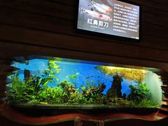 -太平洋海底世界