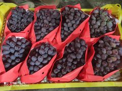 -江杨农产品批发市场