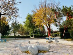 -济南国际园博园