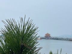 -青岛第三海水浴场