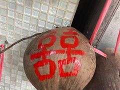 -洪馨椰子