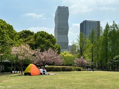 -新虹桥中心花园