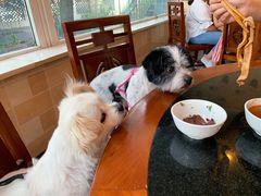 -九尺赵老四鲜鹅肠火锅