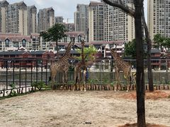 -灵玲国际马戏城