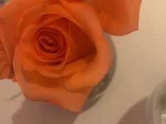 -佐度王子扒房(爱建卓展店)