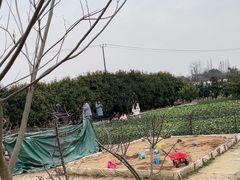 -小鱼草莓采摘园农家乐·小鱼餐厅