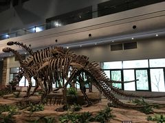 -自贡恐龙博物馆