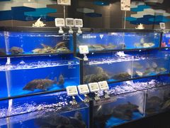 水产区-盒马鲜生(双清路店)