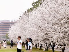 -同济大学(嘉定校区)