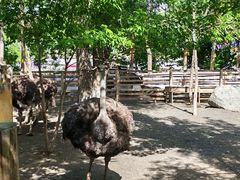 -水上乐园·欢乐世界