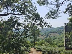 -东山风景区(洞庭东山)