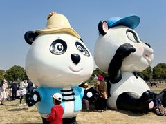-苏州太湖国家湿地公园