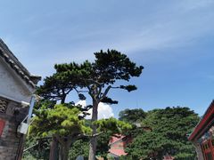 -妙峰山风景名胜区